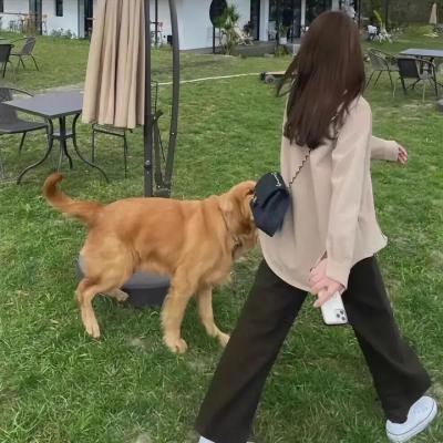 她与她的猫海报